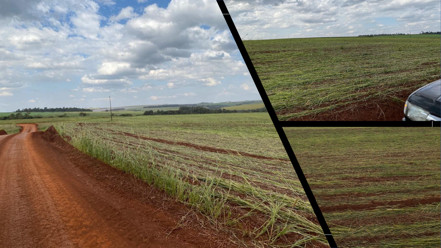 Fazenda produtiva - Soja e milho, Alto Paraná, Paraguai